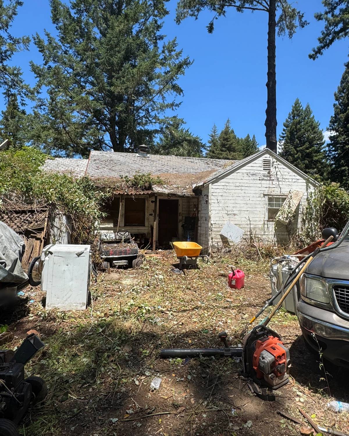 The front yard partway through the cleanout: brush cut back, with the washer, a golf cart, a wheelbarrow and yard tools still to go