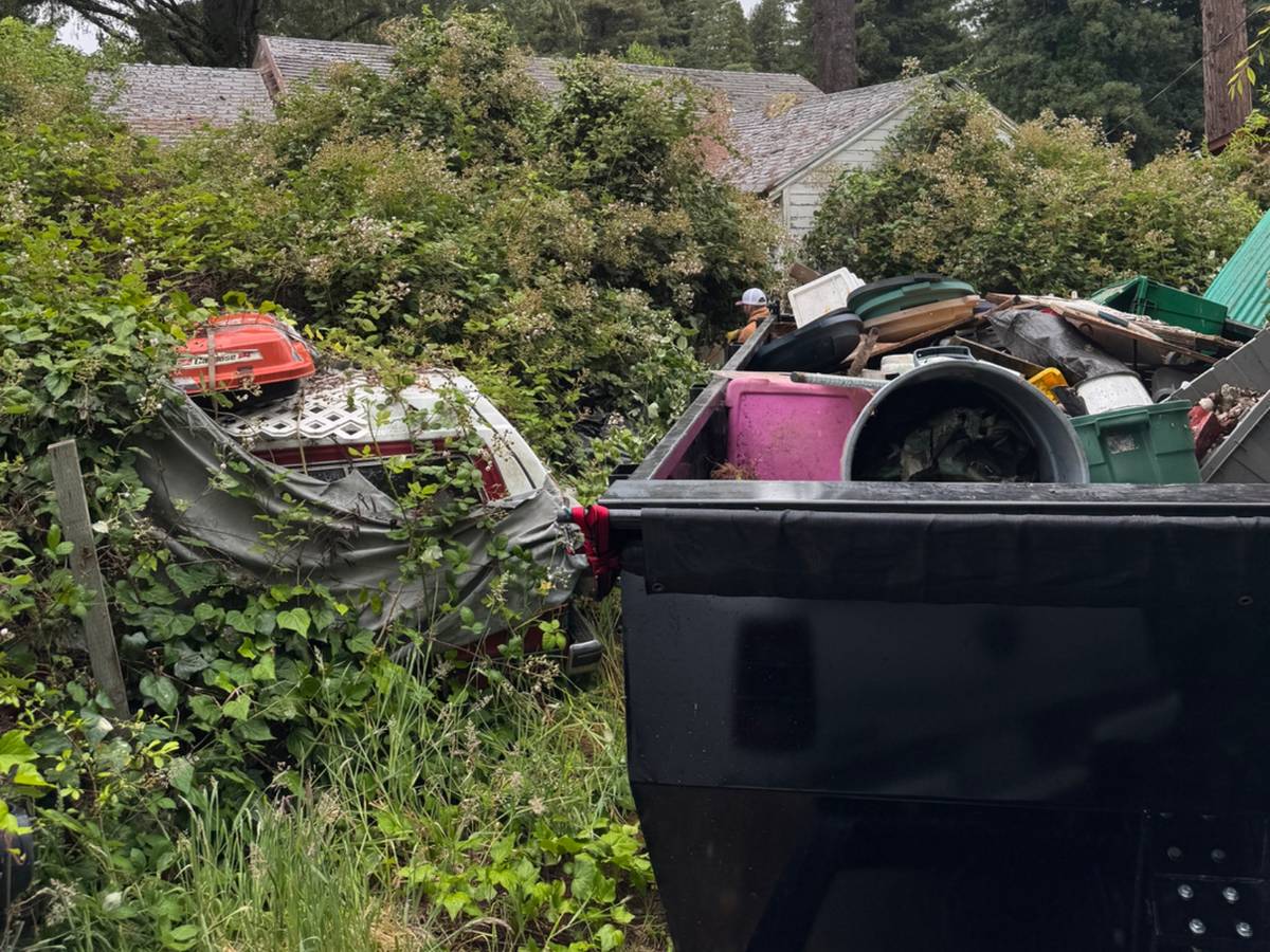 Our black dump trailer loaded with bins, boards and household junk beside an overgrown lot